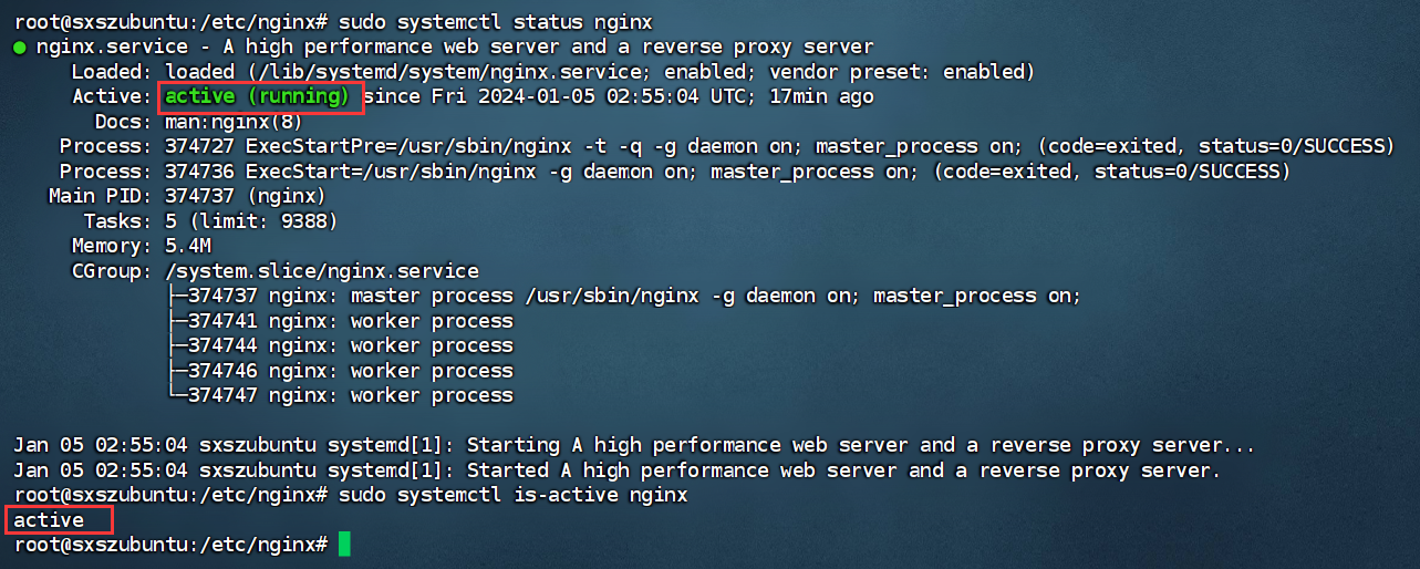 Nginx 